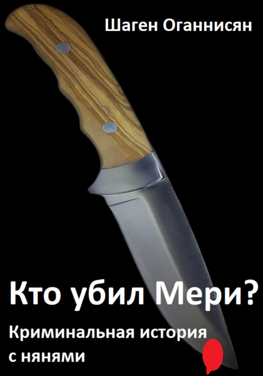 Обложка книги «Кто убил Мери? Криминальная история с нянями»