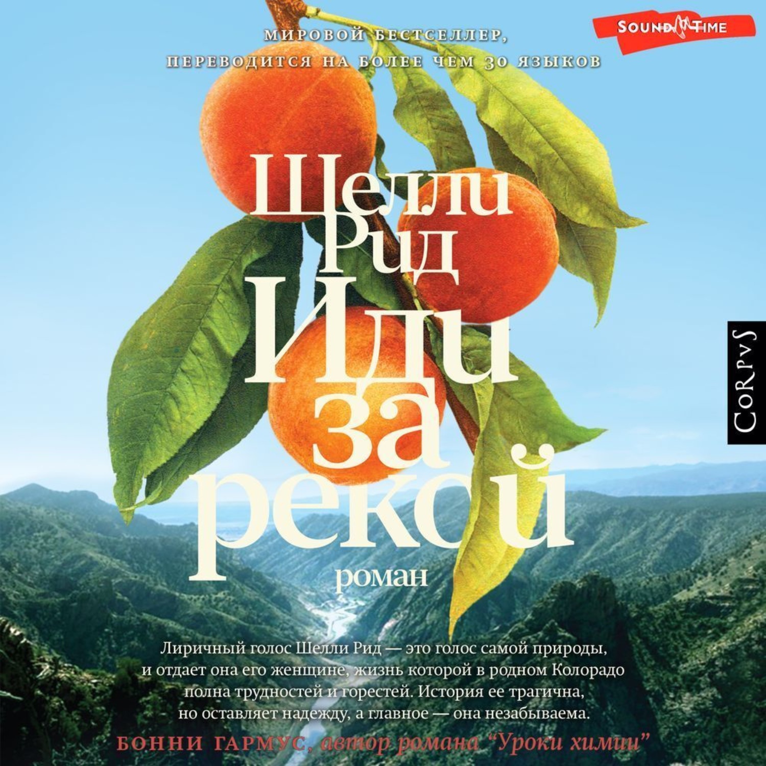 Обложка книги «Иди за рекой»