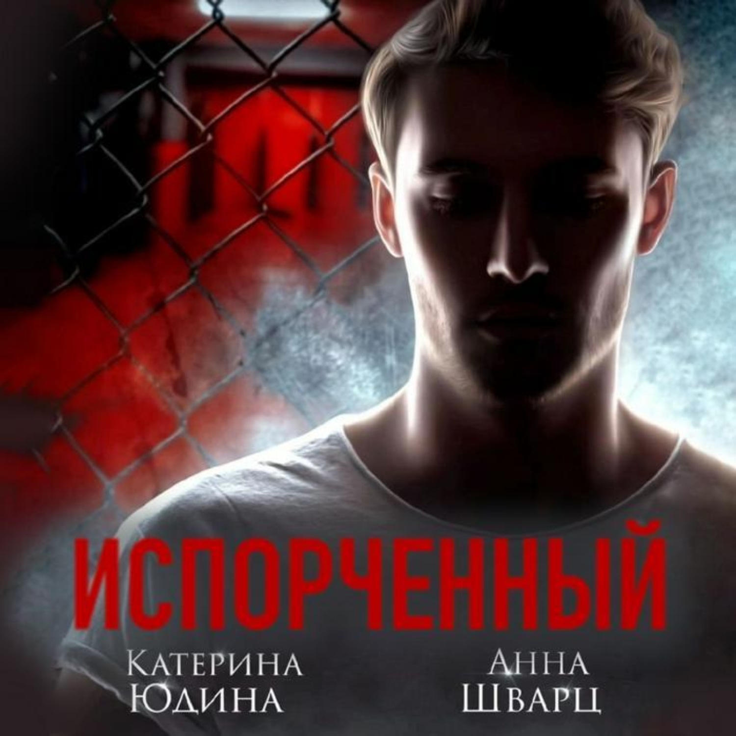 Обложка книги «Испорченный. Книга 2»