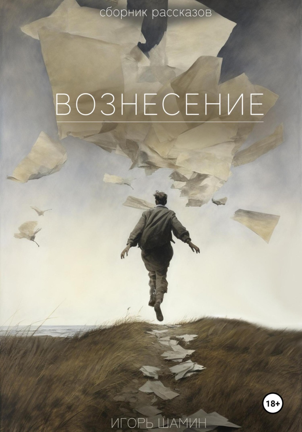 Обложка книги «Вознесение»