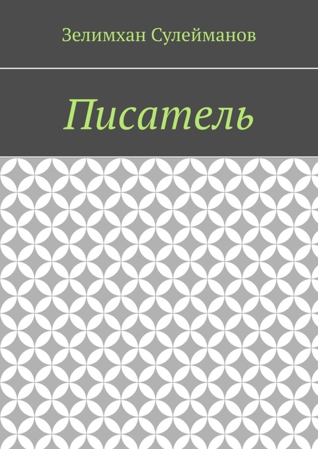 Обложка книги «Писатель»