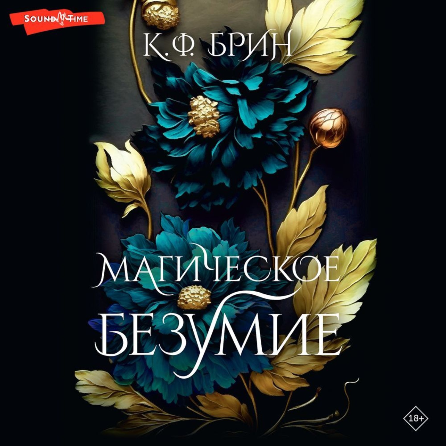 Обложка книги «Магическое безумие»