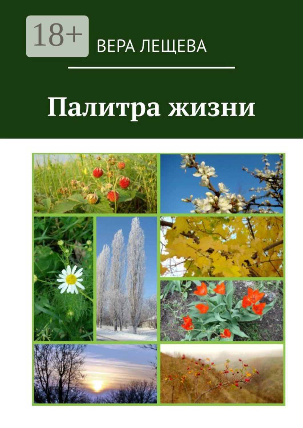 Обложка книги «Палитра жизни»