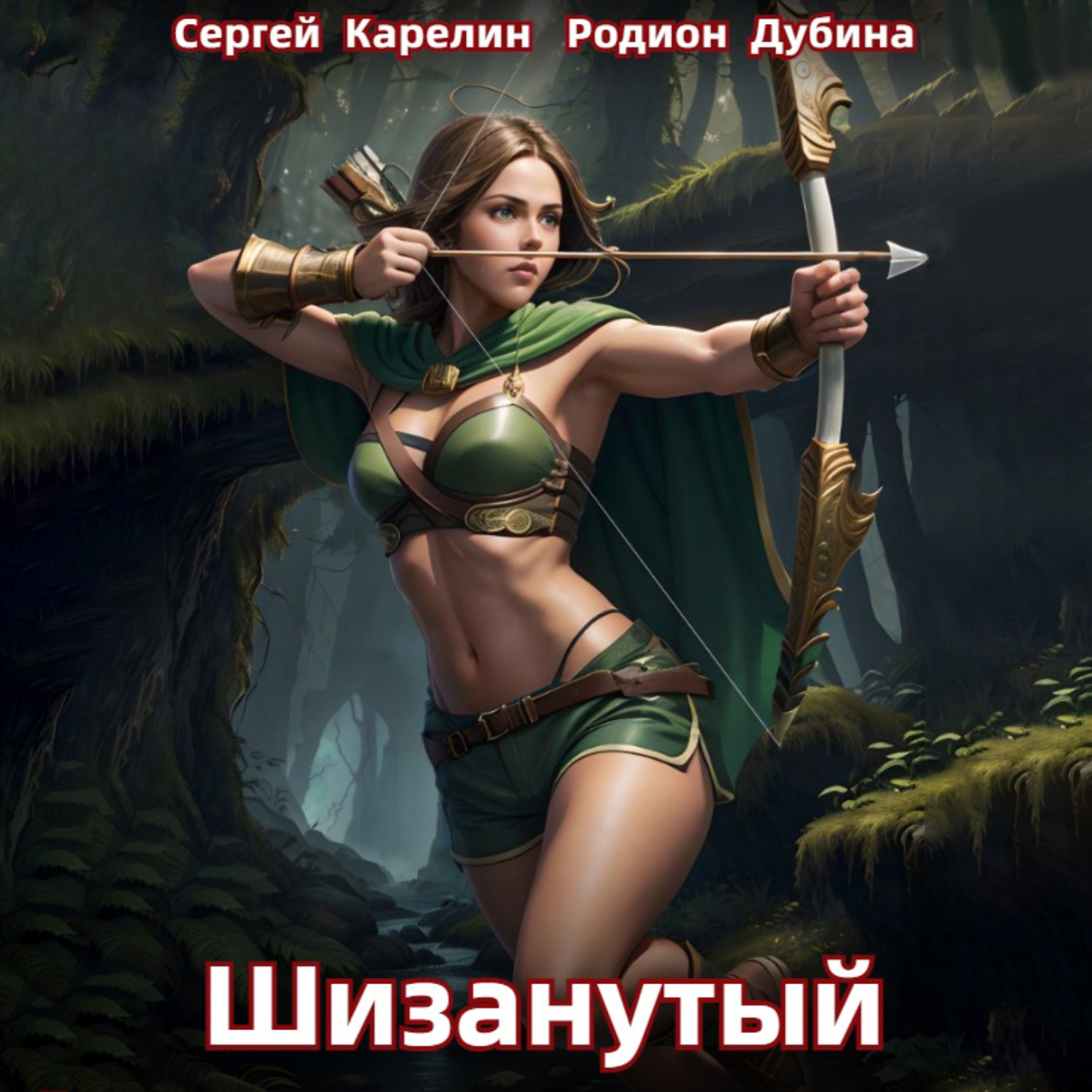 Обложка книги «Шизанутый»