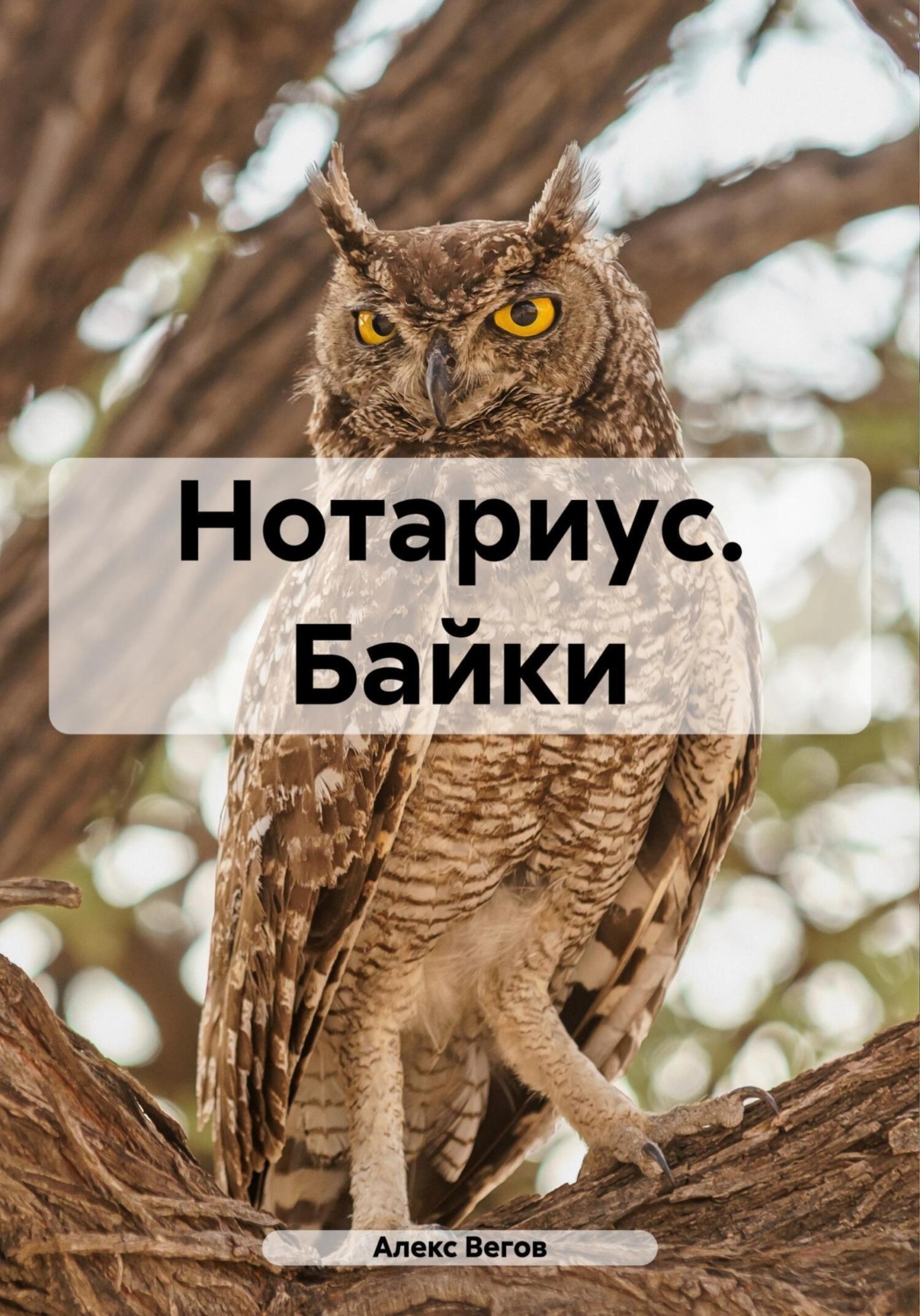 Обложка книги «Нотариус. Байки»