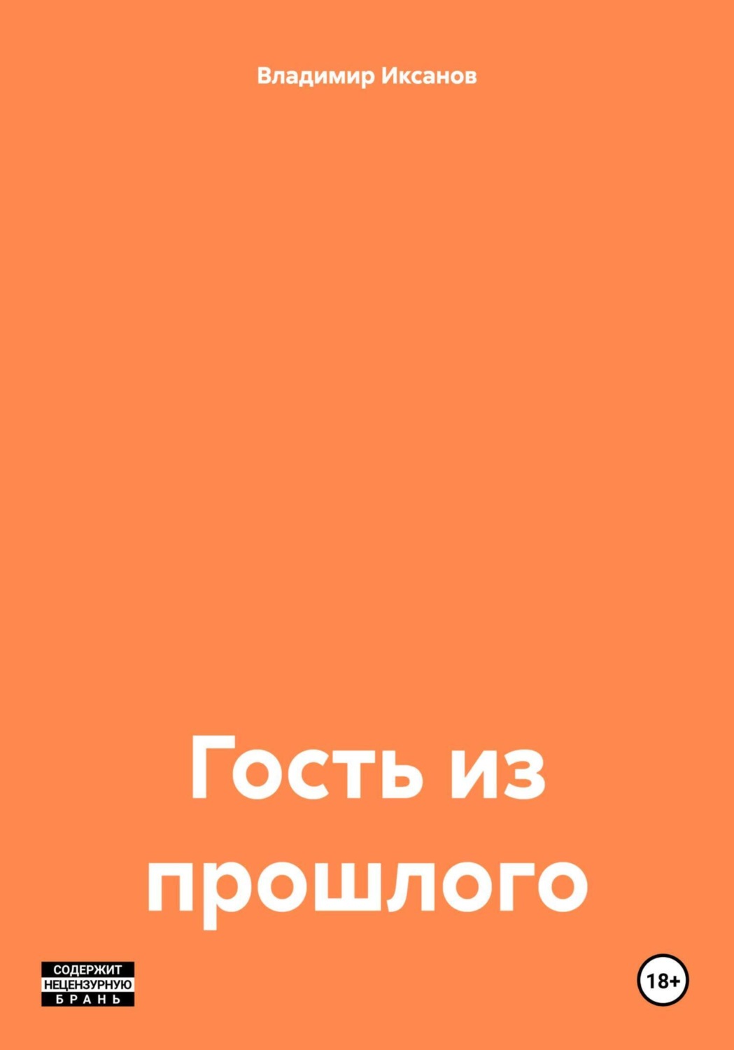 Обложка книги «Гость из прошлого»