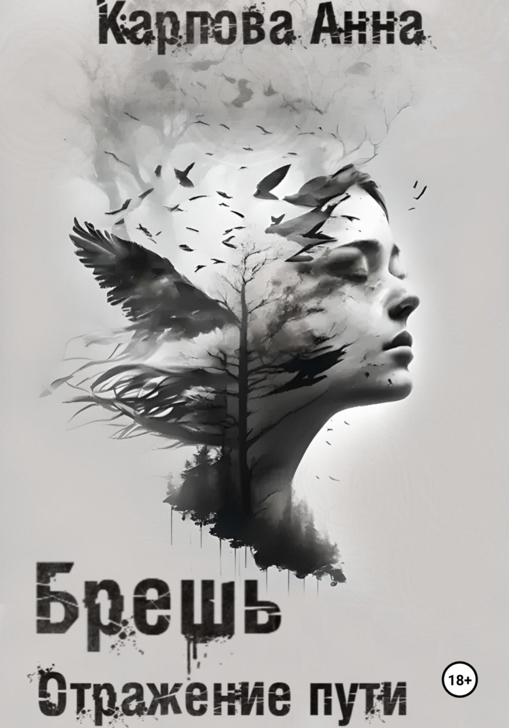 Обложка книги «Брешь. Отражение пути»