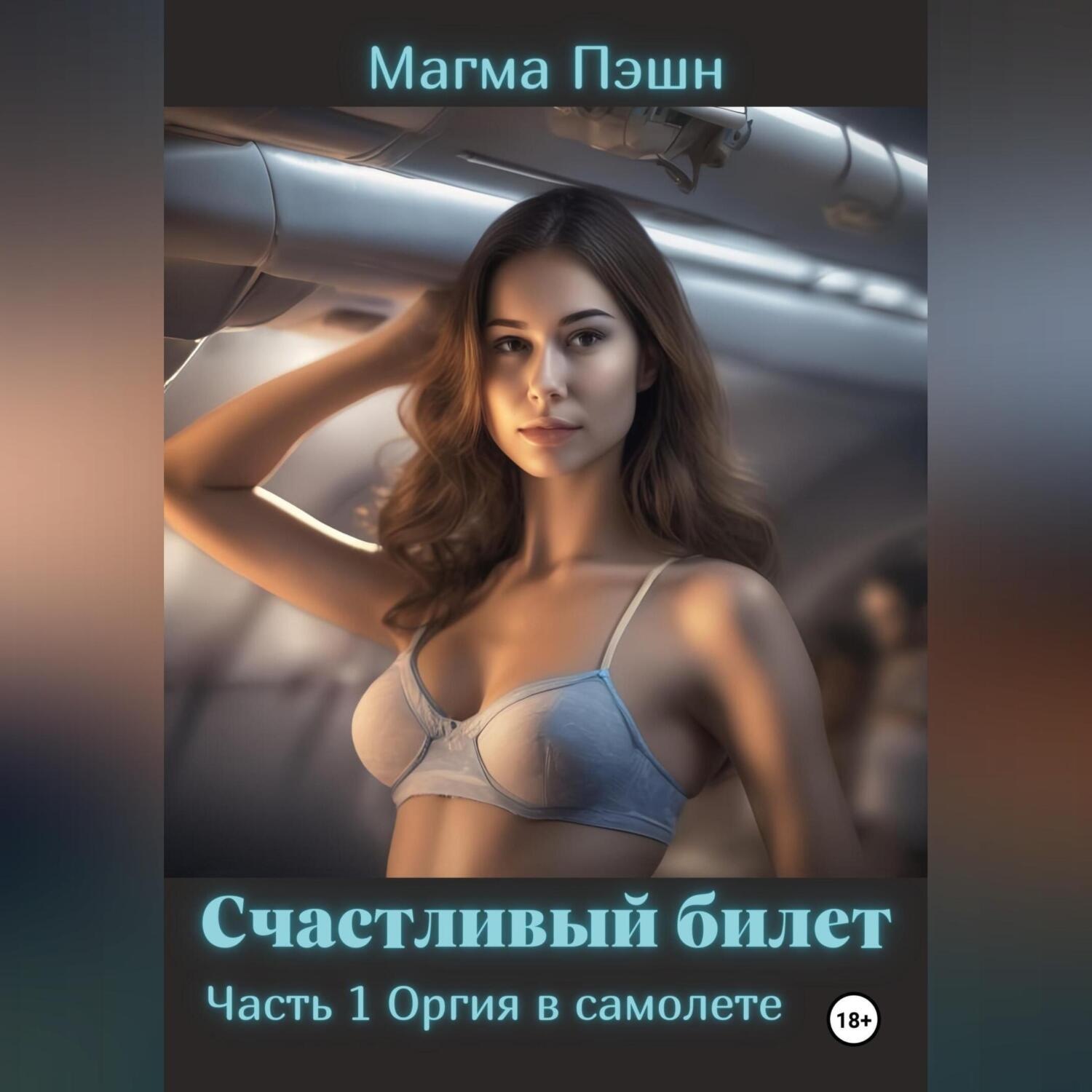 Обложка книги «Счастливый билет. Часть 1. Оргия в самолёте»