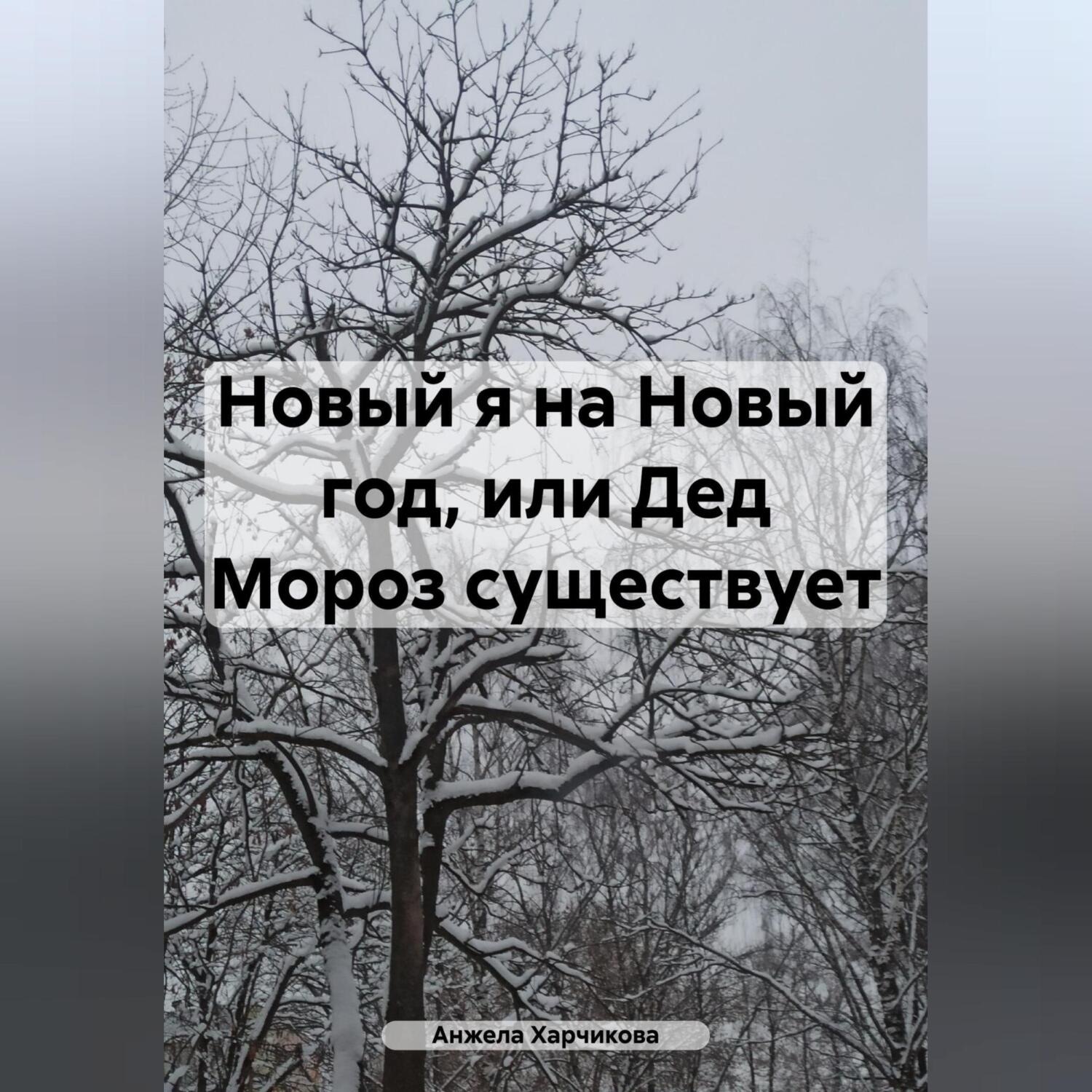Обложка книги «Новый я на Новый год, или Дед Мороз существует»