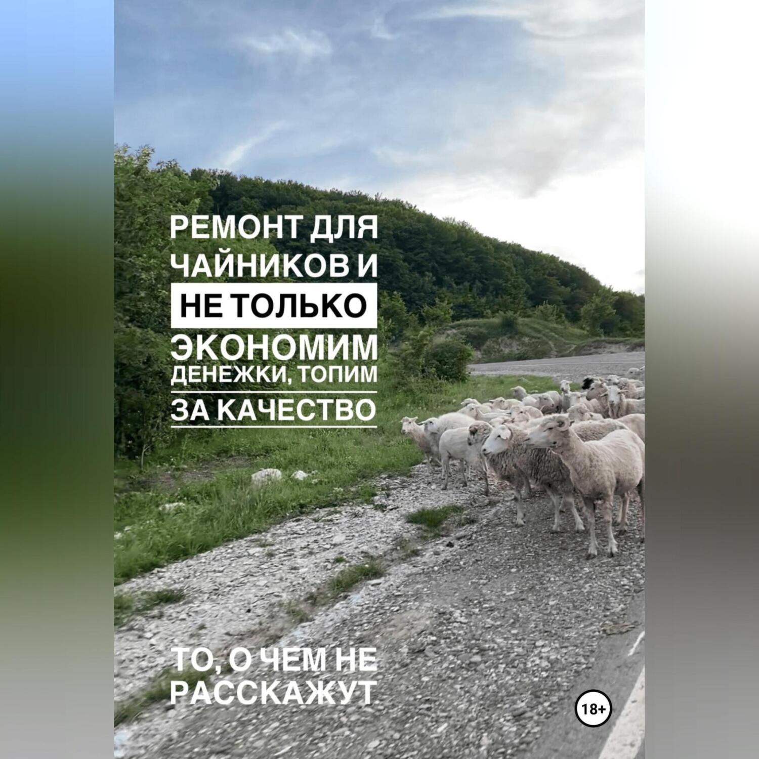 Обложка книги «Ремонт для чайников и не только. Экономим денежки, топим за качество. Гайд»