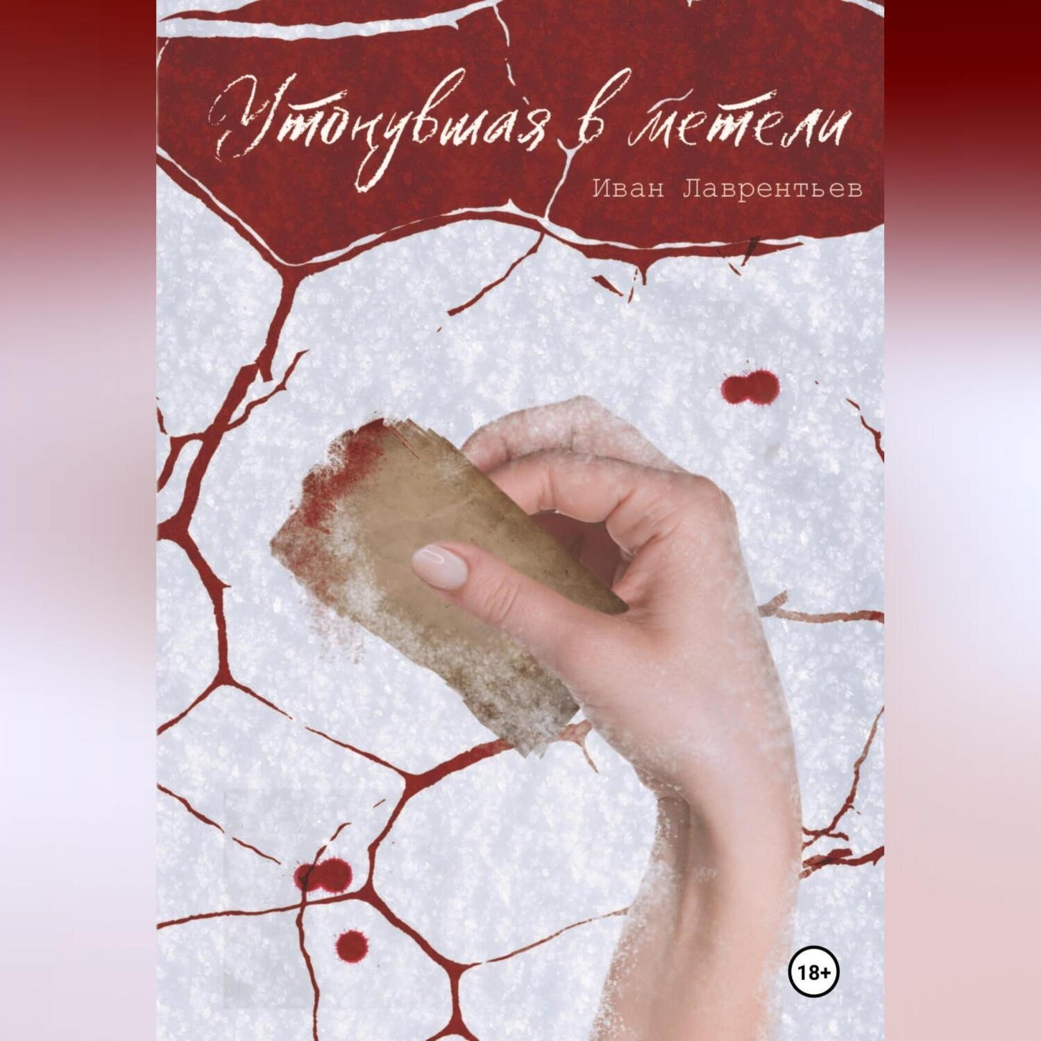 Обложка книги «Утонувшая в метели»