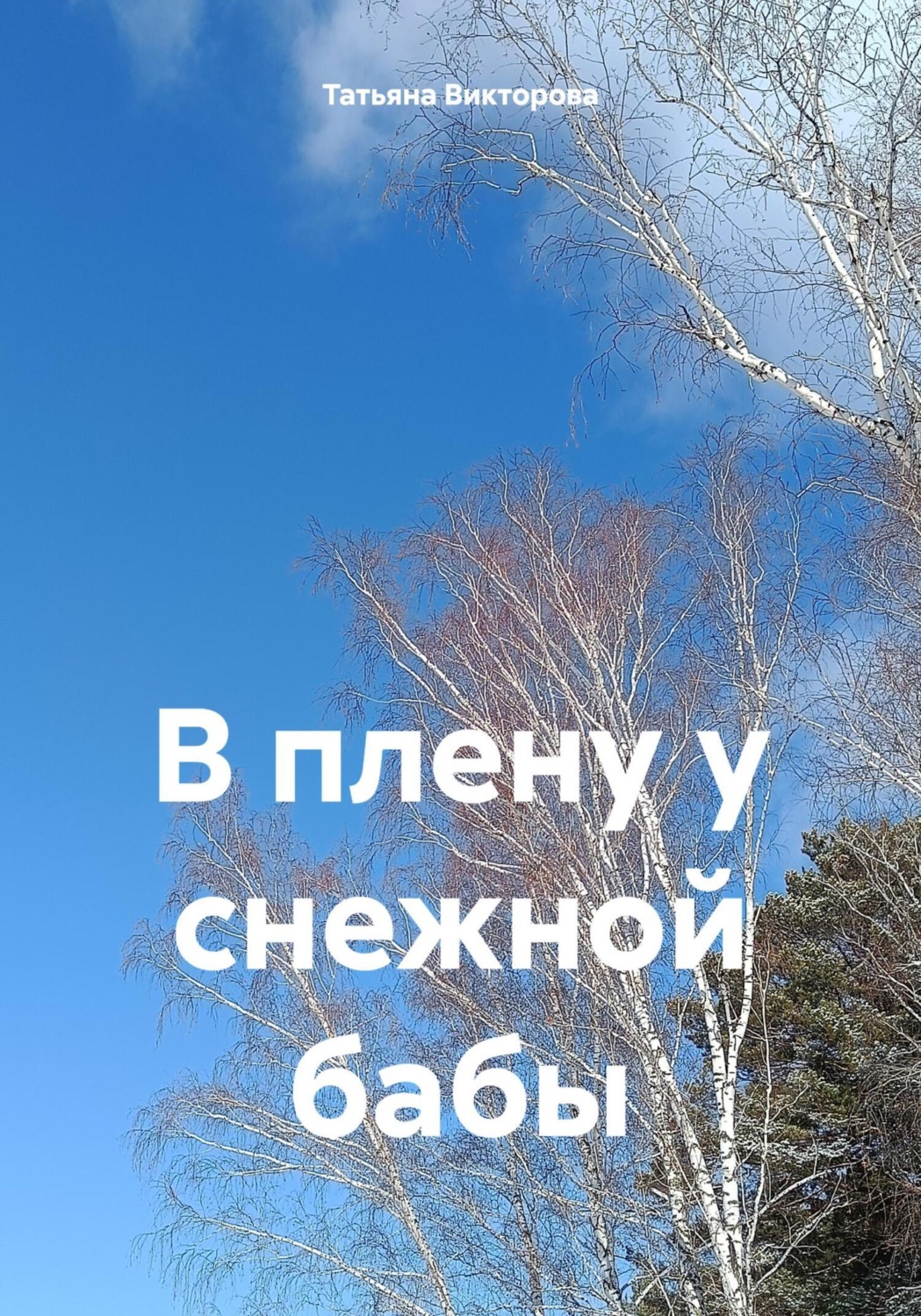 Обложка книги «В плену у снежной бабы»