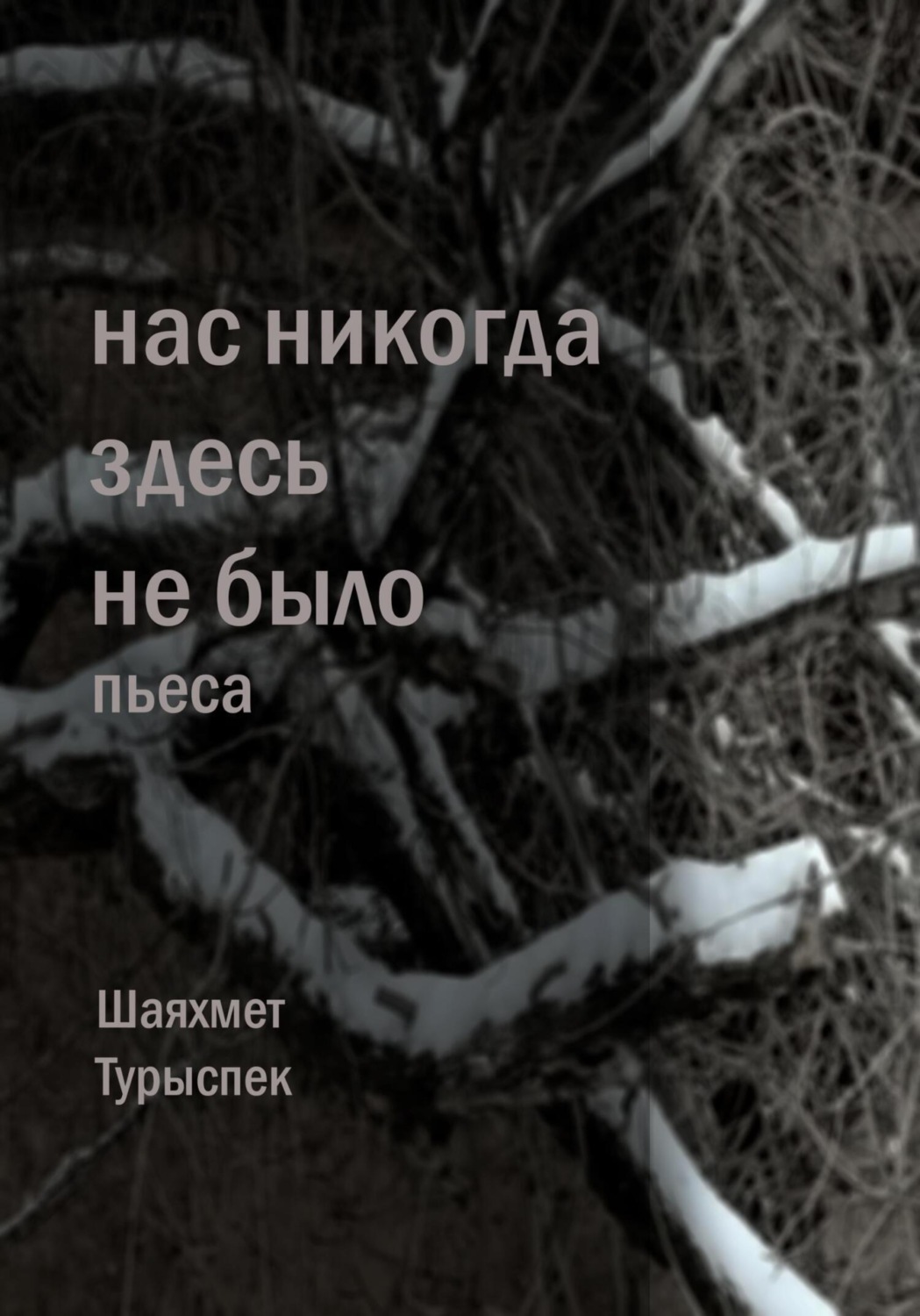 Обложка книги «Нас никогда здесь не было»