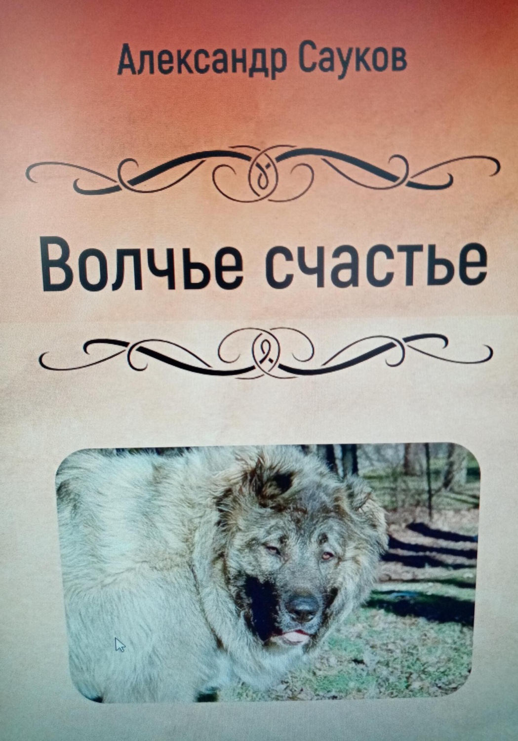 Обложка книги «Волчье счастье»