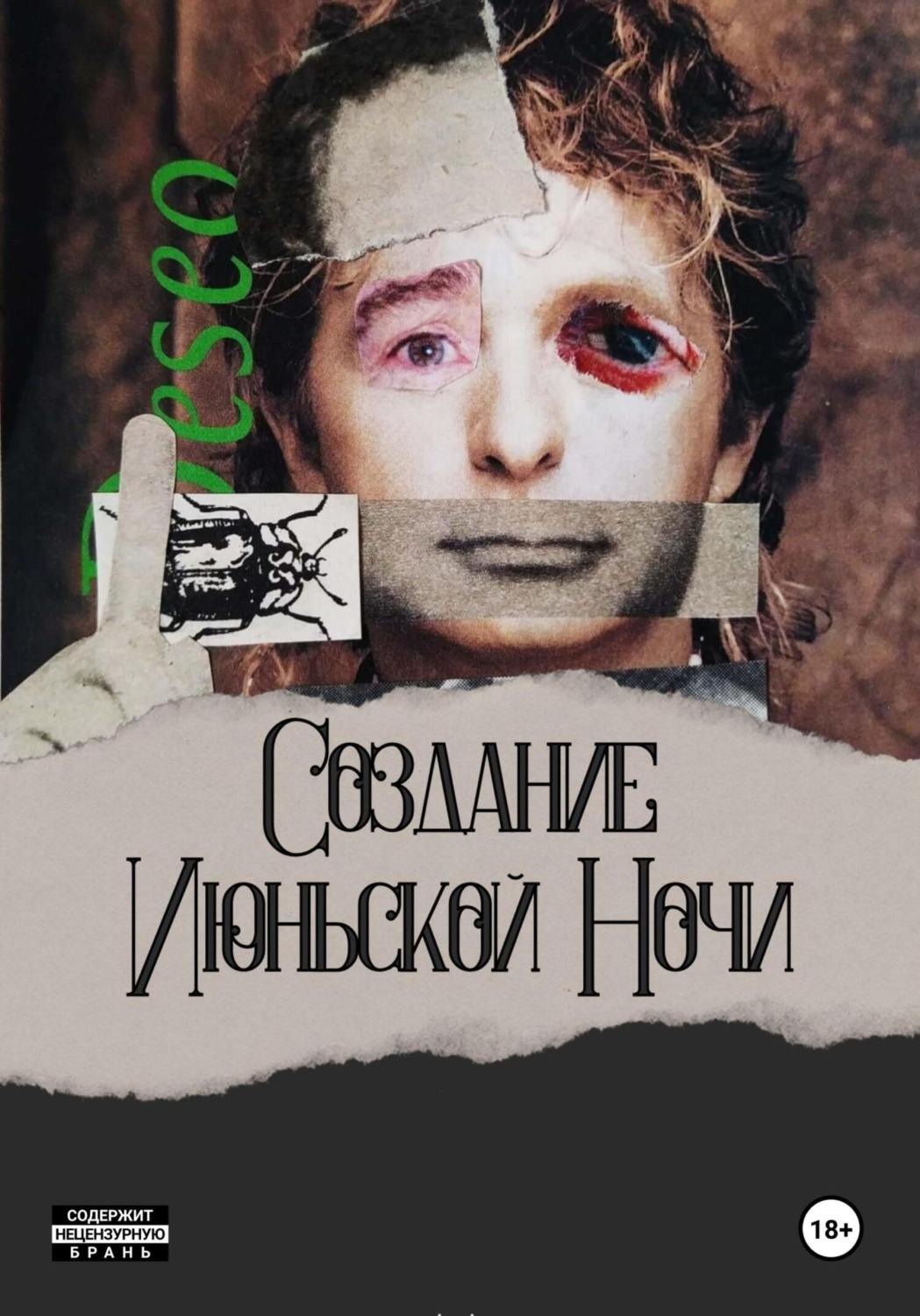 Обложка книги «Создание Июньской Ночи»