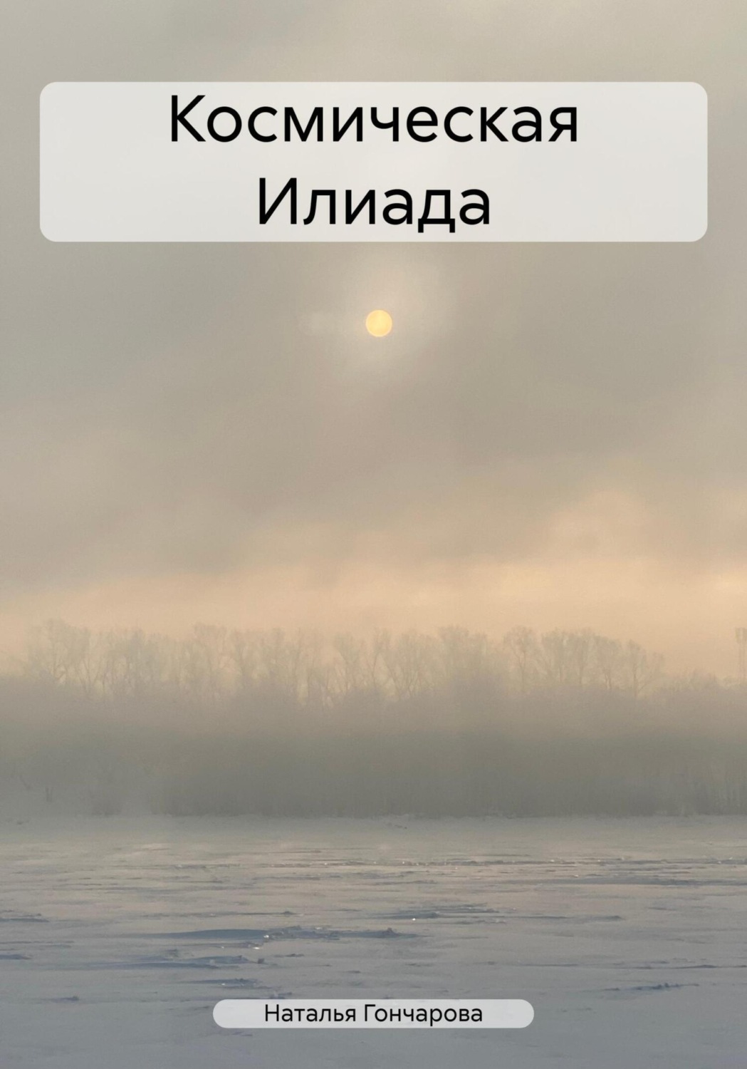 Обложка книги «Космическая Илиада»