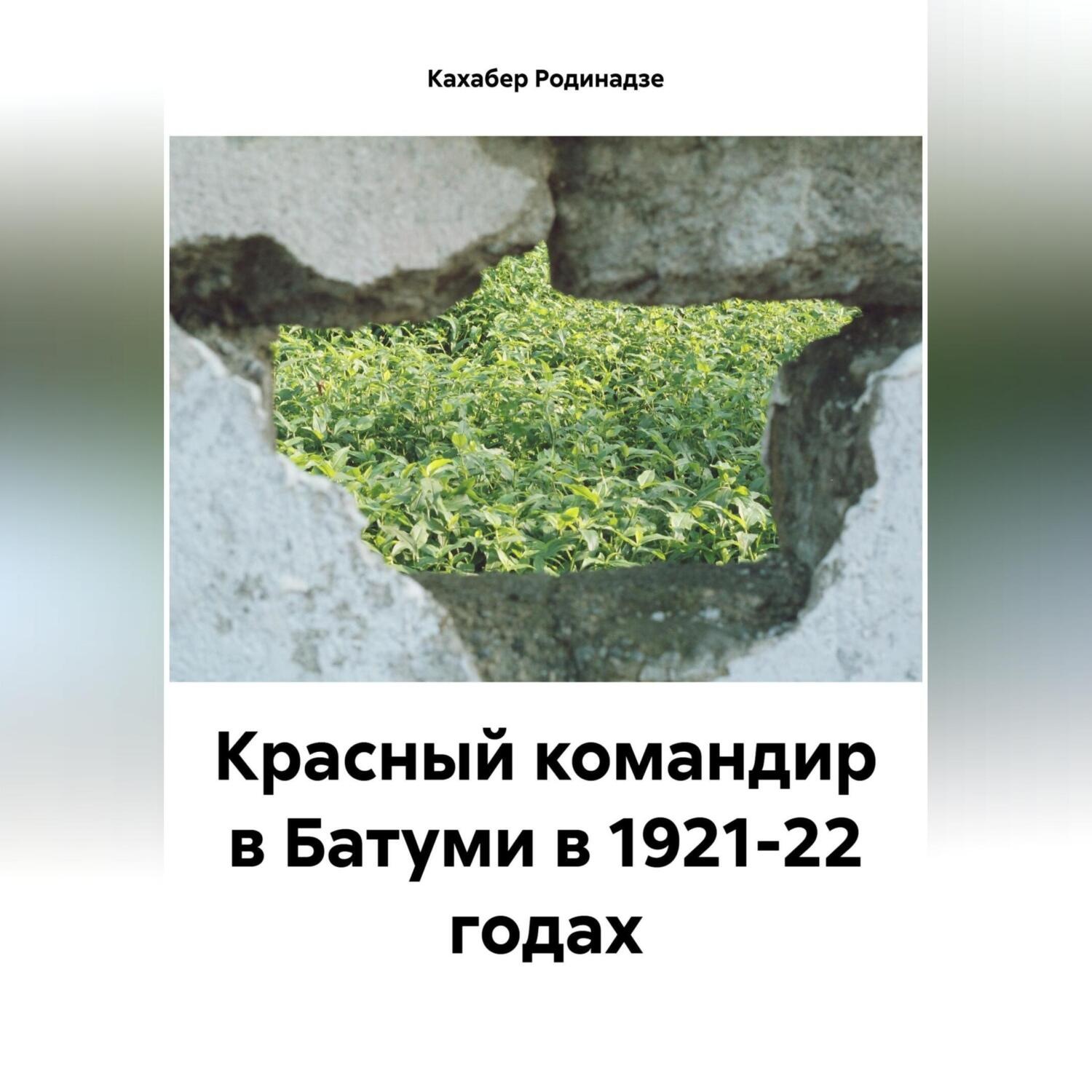 Обложка книги «Красный командир в Батуми в 1921-22 годах»