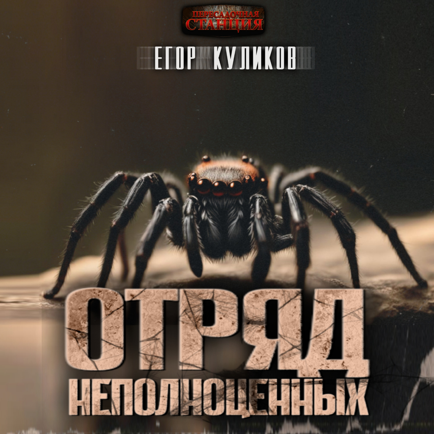Обложка книги «Отряд неполноценных»