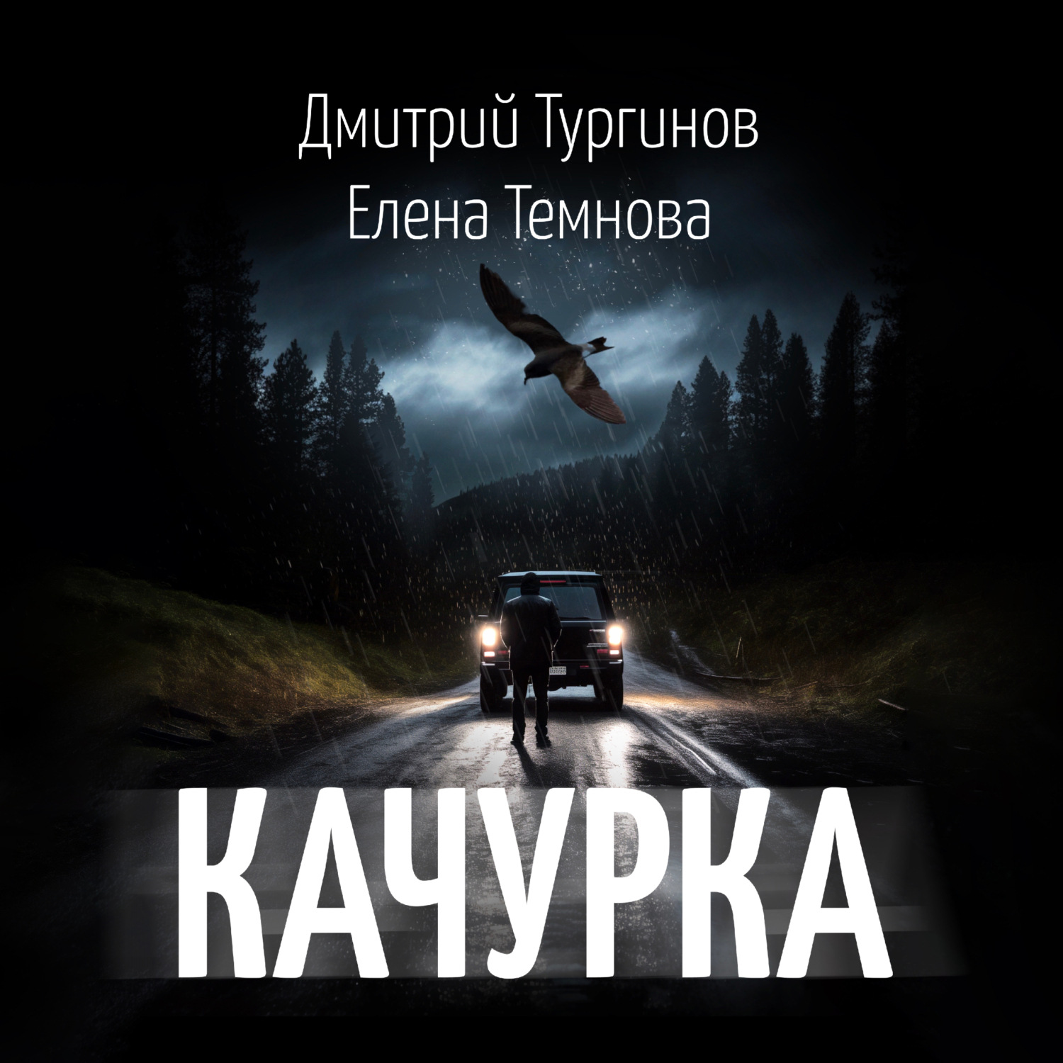Обложка книги «Качурка»