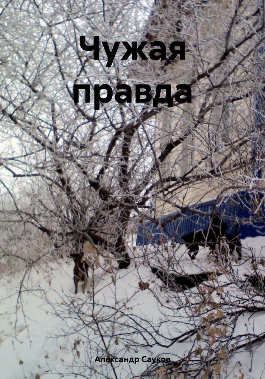 Обложка книги «Чужая правда»