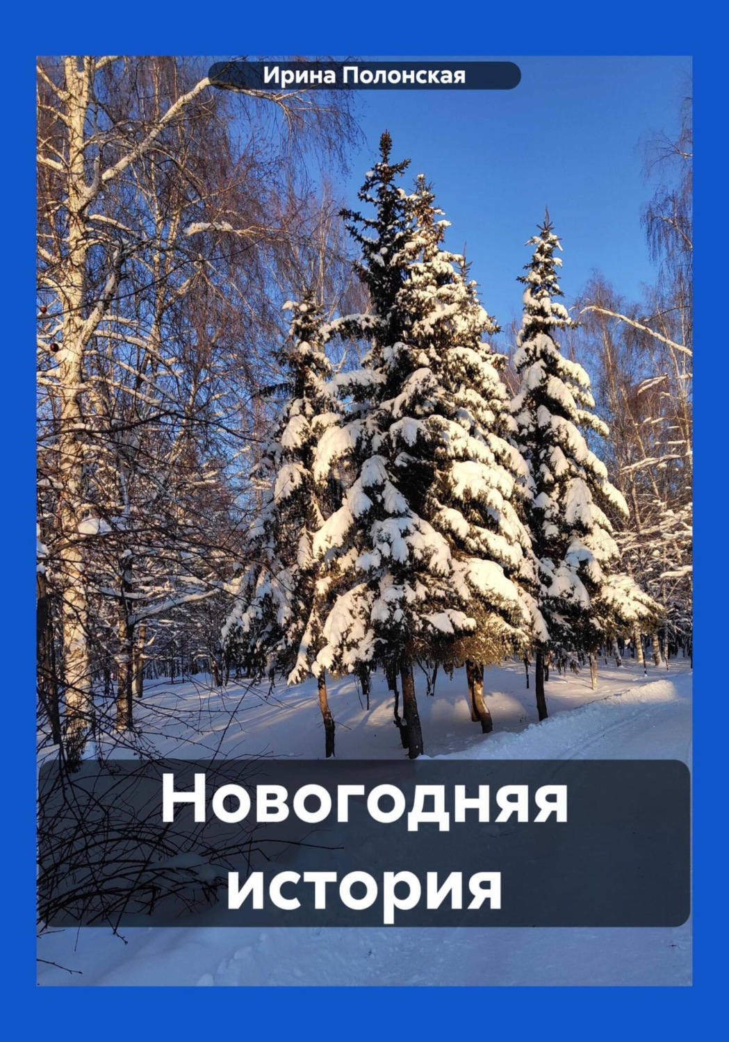 Обложка книги «Новогодняя история»