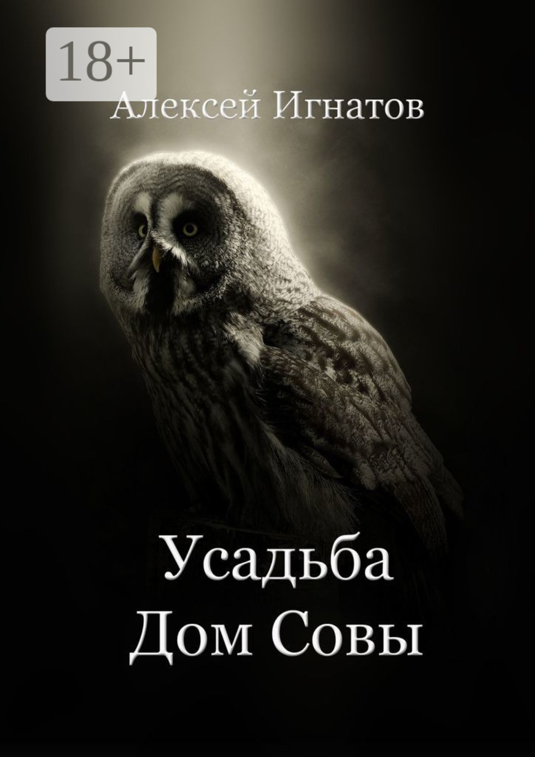 Обложка книги «Усадьба Дом Совы»