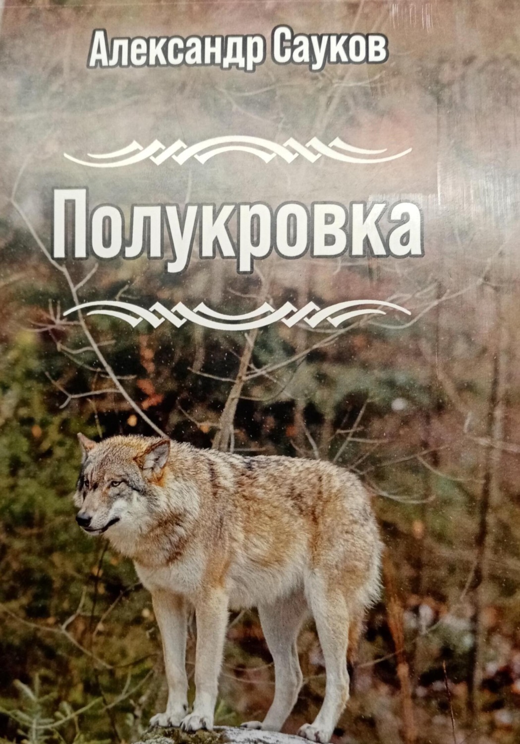 Обложка книги «Полукровка»