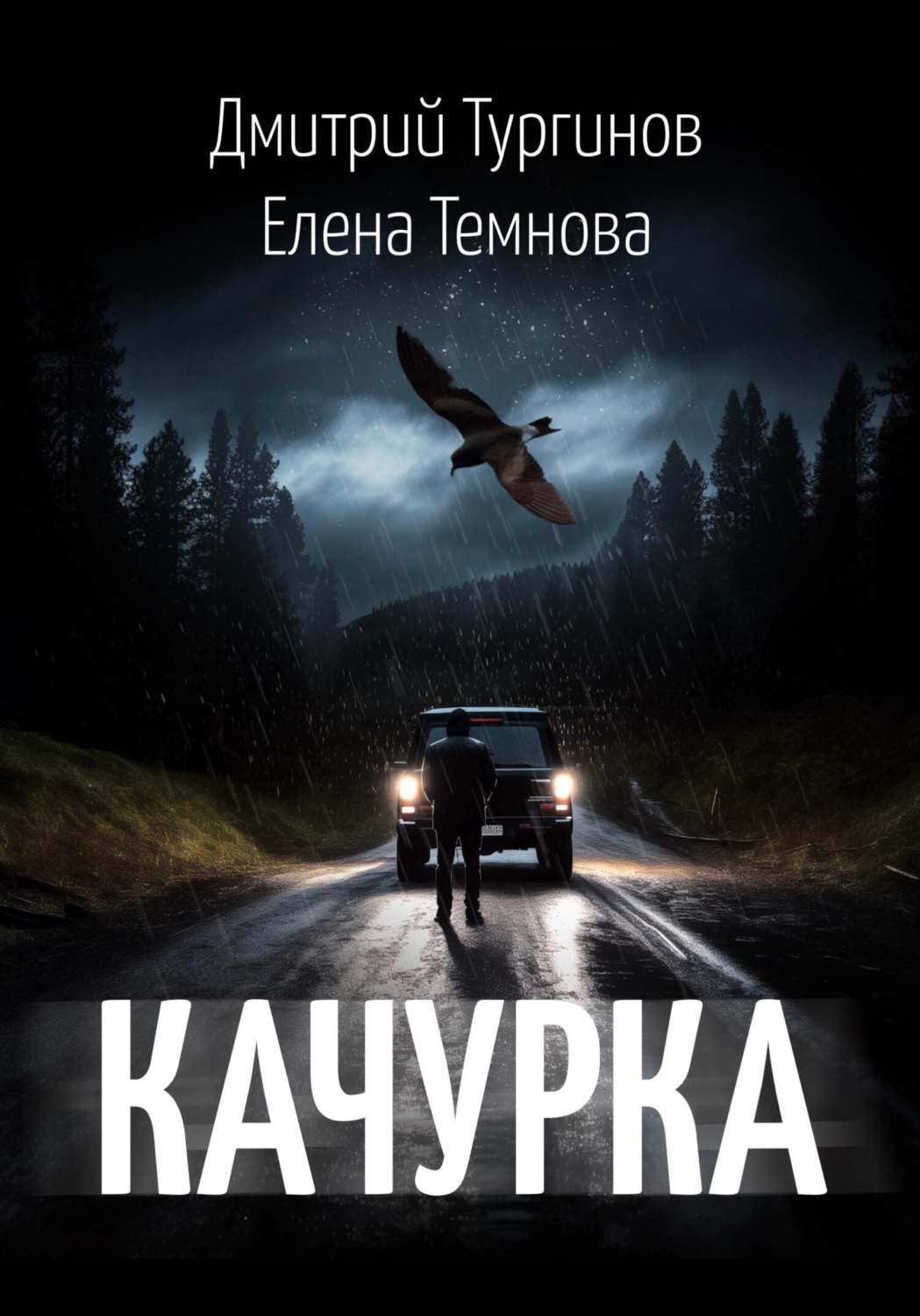 Обложка книги «Качурка»