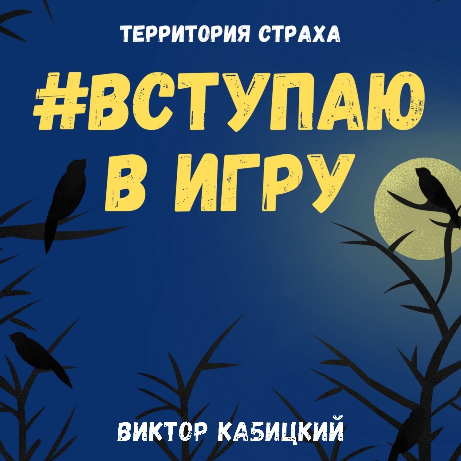 Обложка книги «Вступаю в игру»
