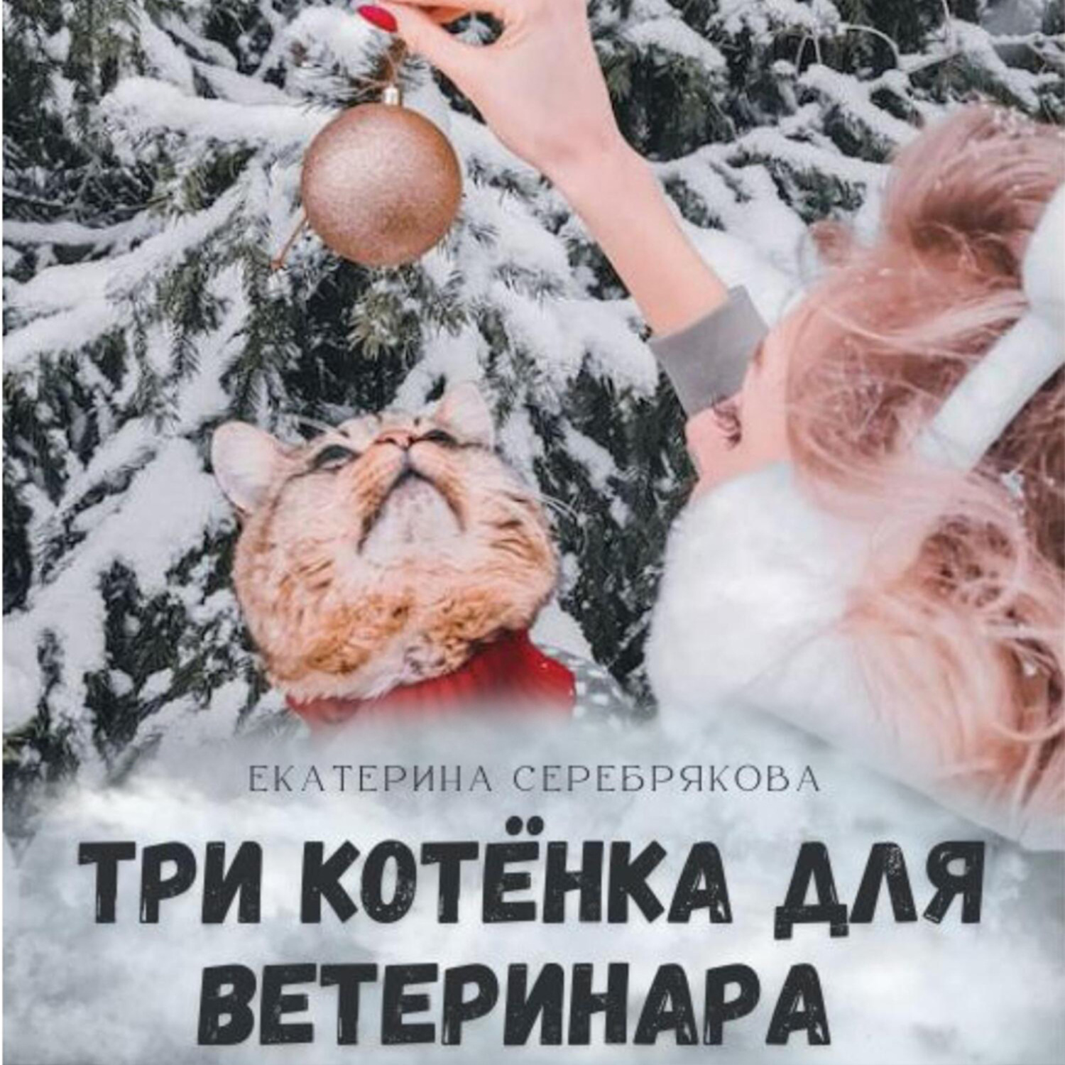 Обложка книги «Три котёнка для ветеринара»
