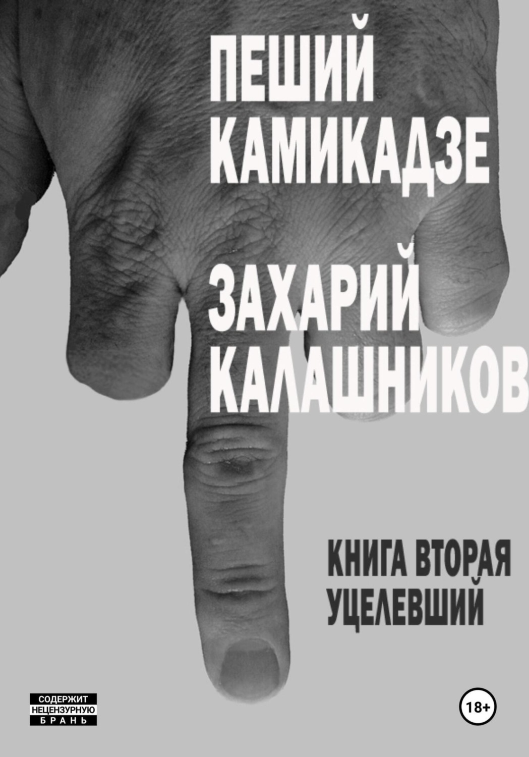 Обложка книги «Уцелевший (Пеший камикадзе. Книга вторая)»