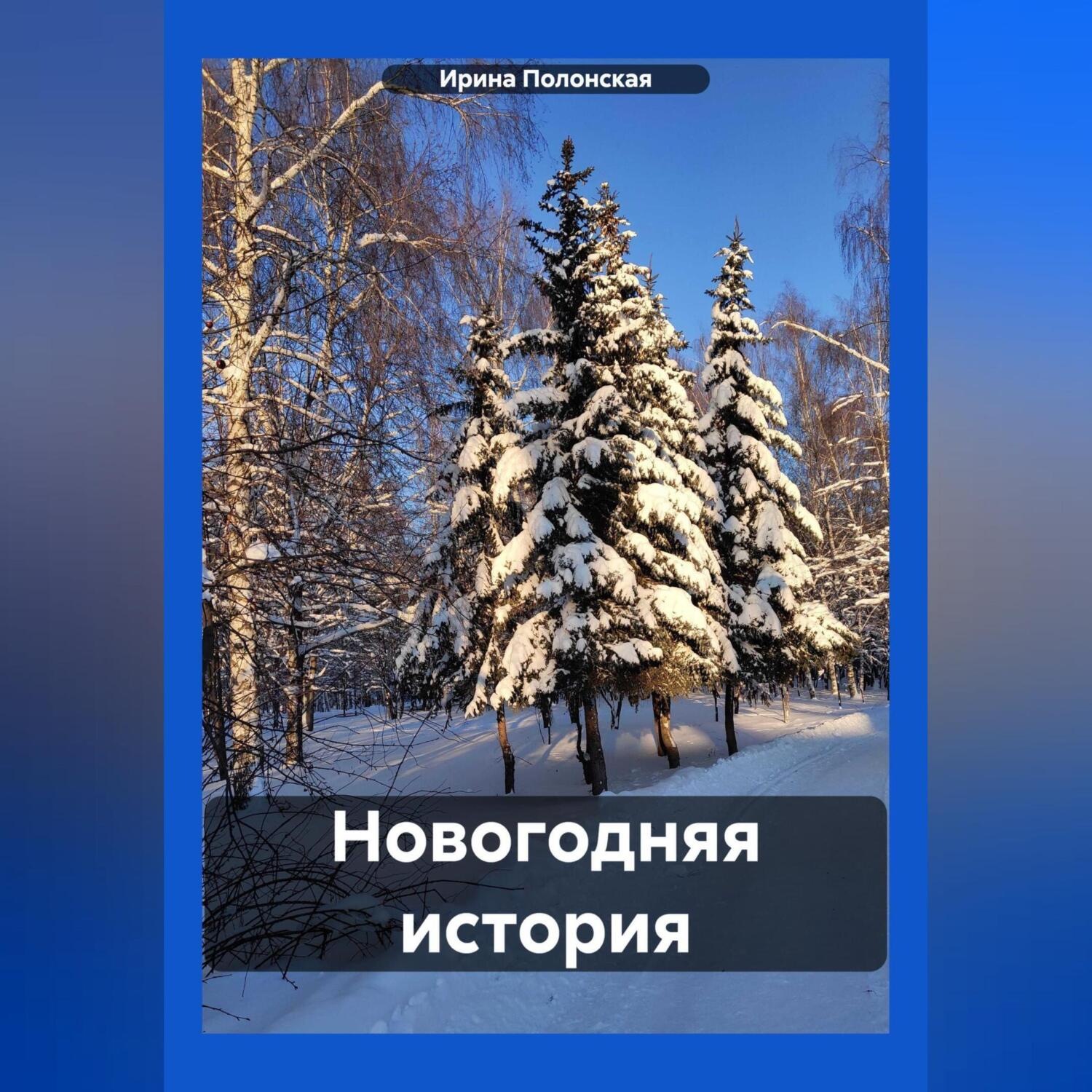 Обложка книги «Новогодняя история»