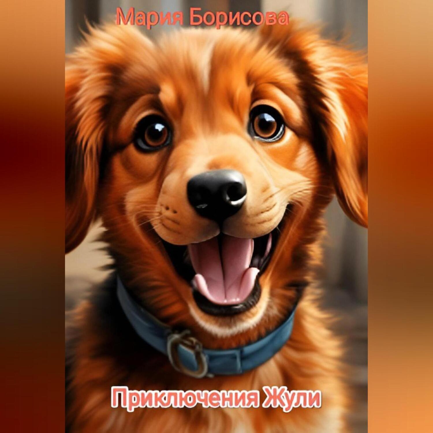 Обложка книги «Приключения Жули»