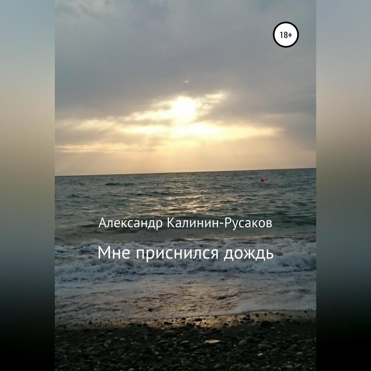 Обложка книги «Мне приснился дождь. Сборник рассказов»