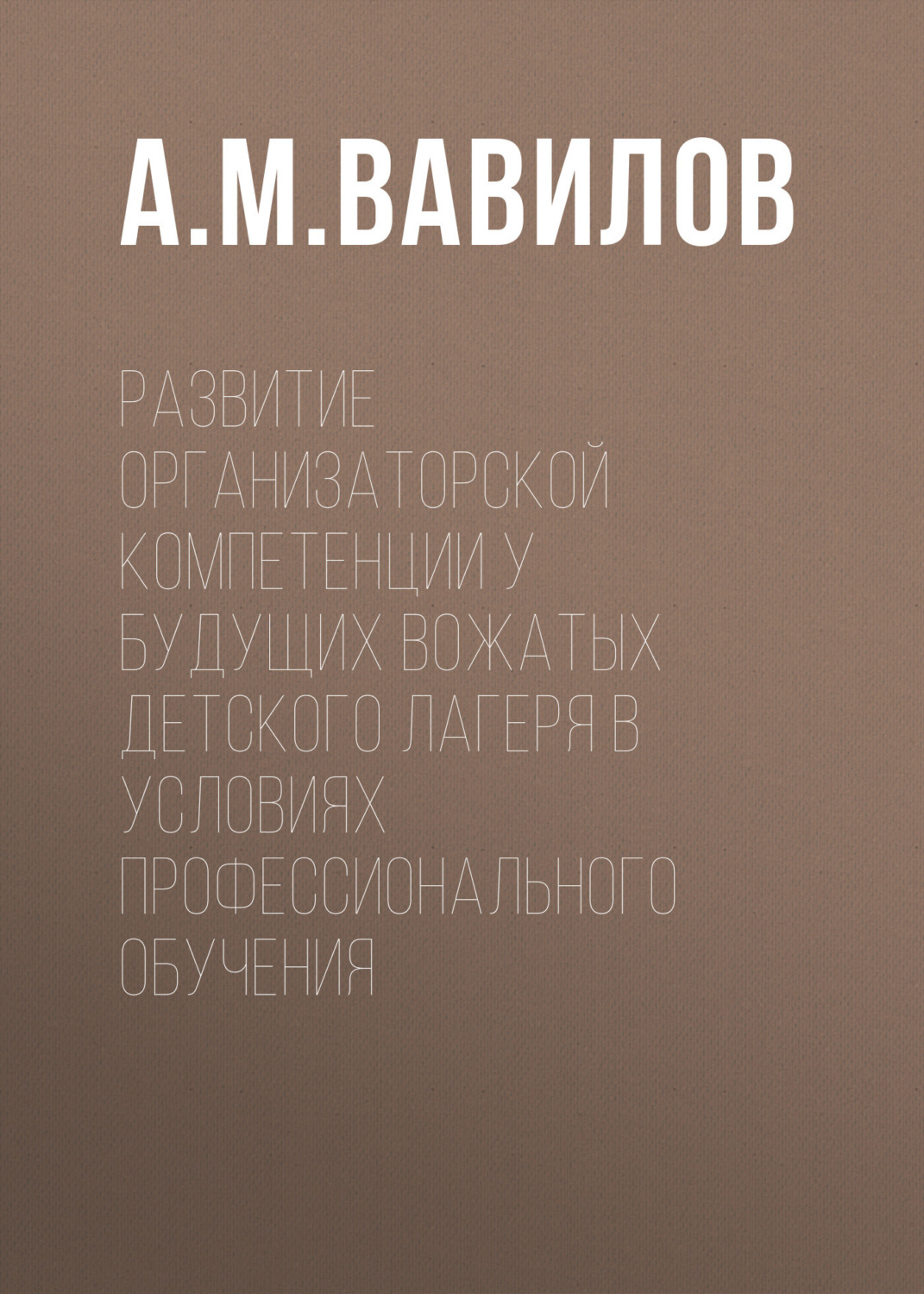 Обложка книги «Развитие организаторской компетенции у будущих вожатых детского лагеря в условиях профессионального обучения»