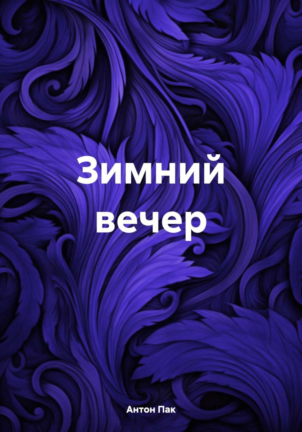 Обложка книги «Зимний вечер»