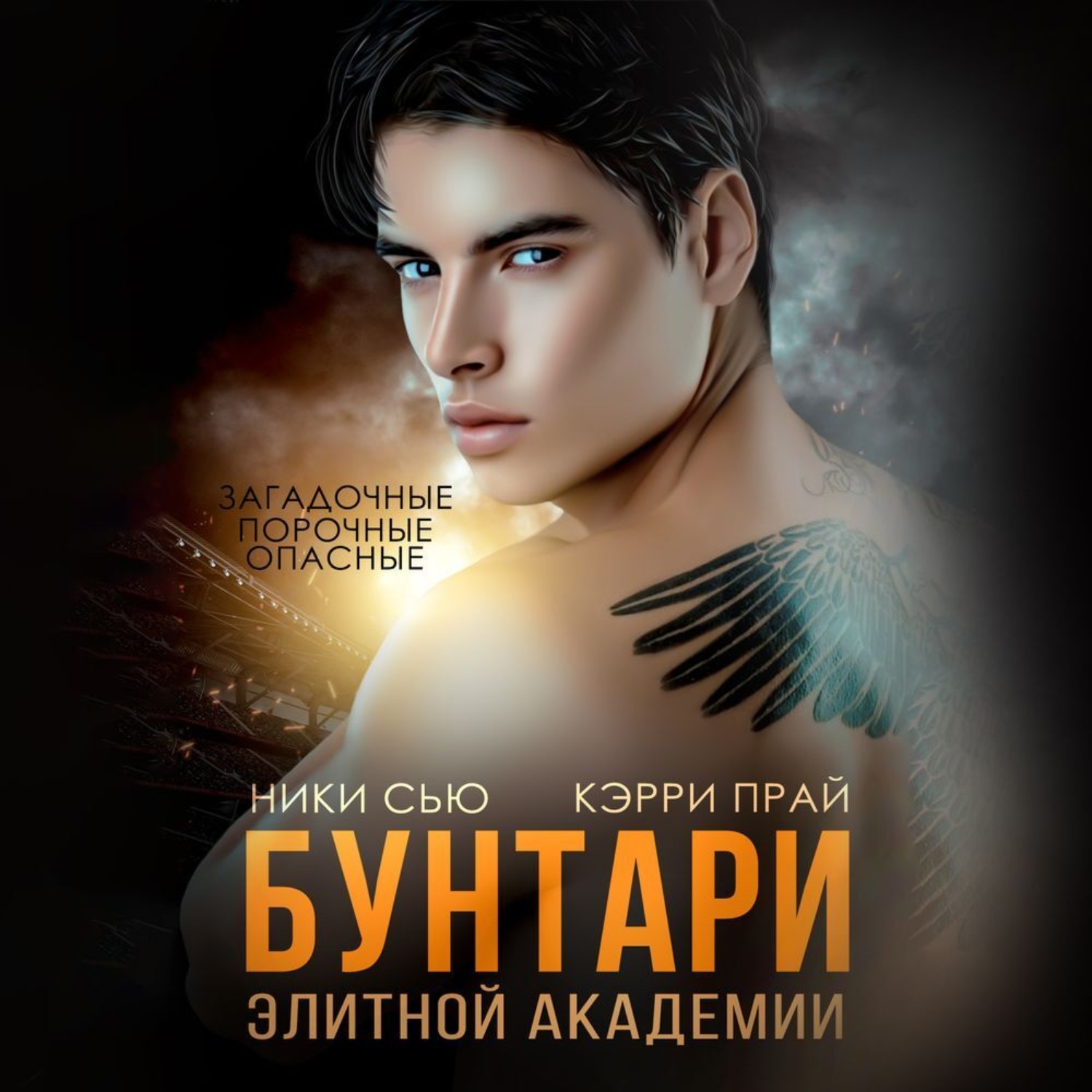 Обложка книги «Бунтари элитной академии»
