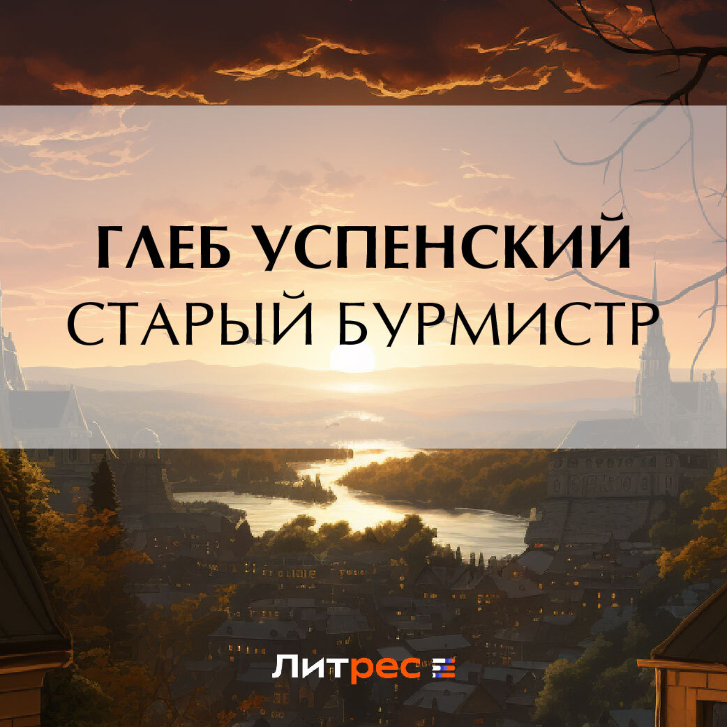 Обложка книги «Старый бурмистр»