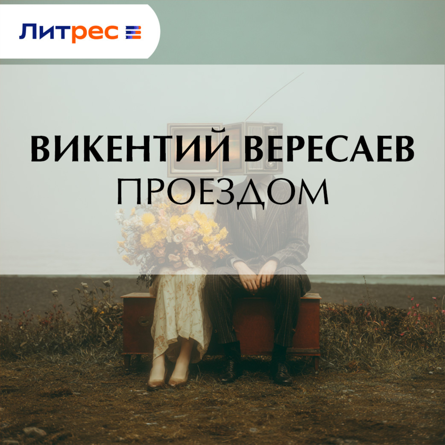 Обложка книги «Проездом»