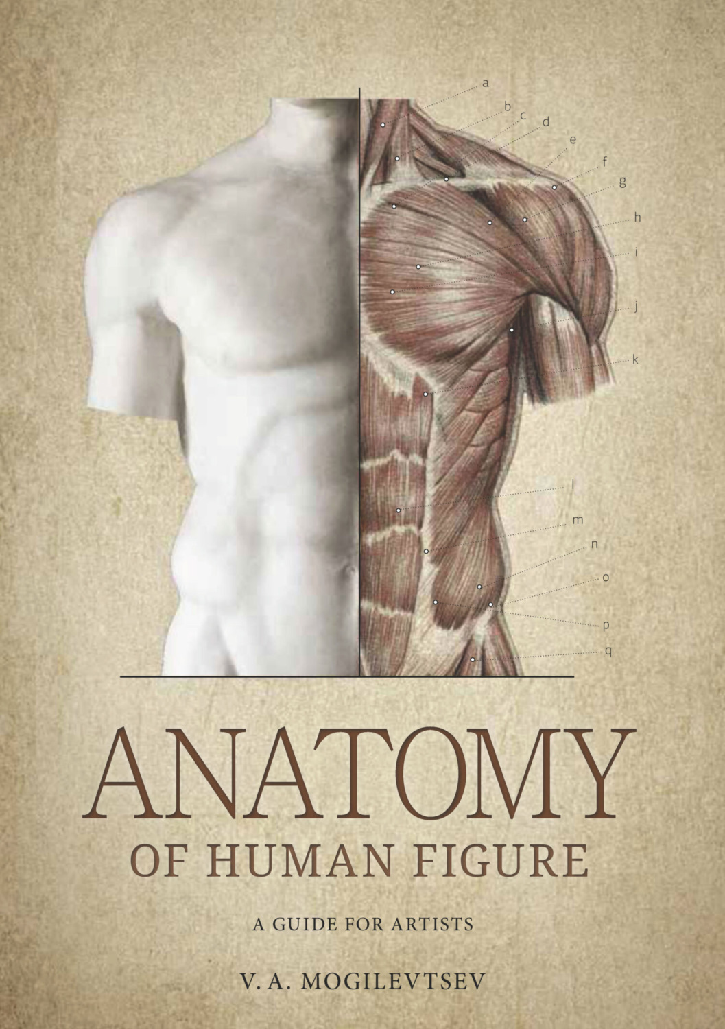 Обложка книги «Anatomy of Human Figure. A Guide For Artists»