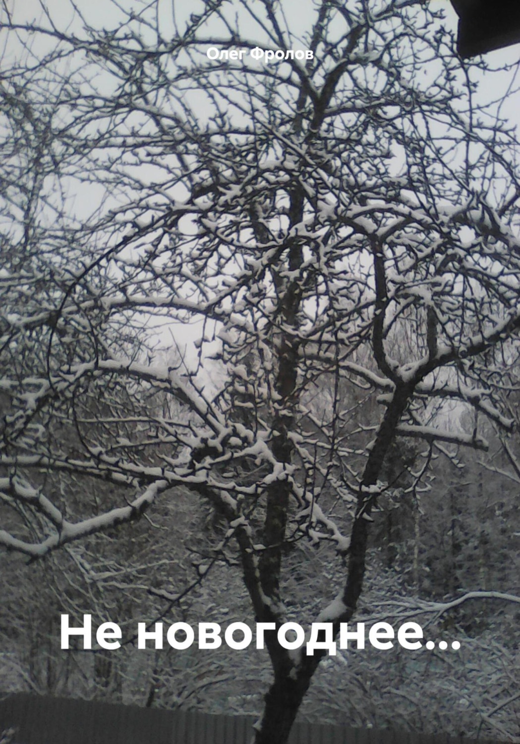Обложка книги «Не новогоднее…»