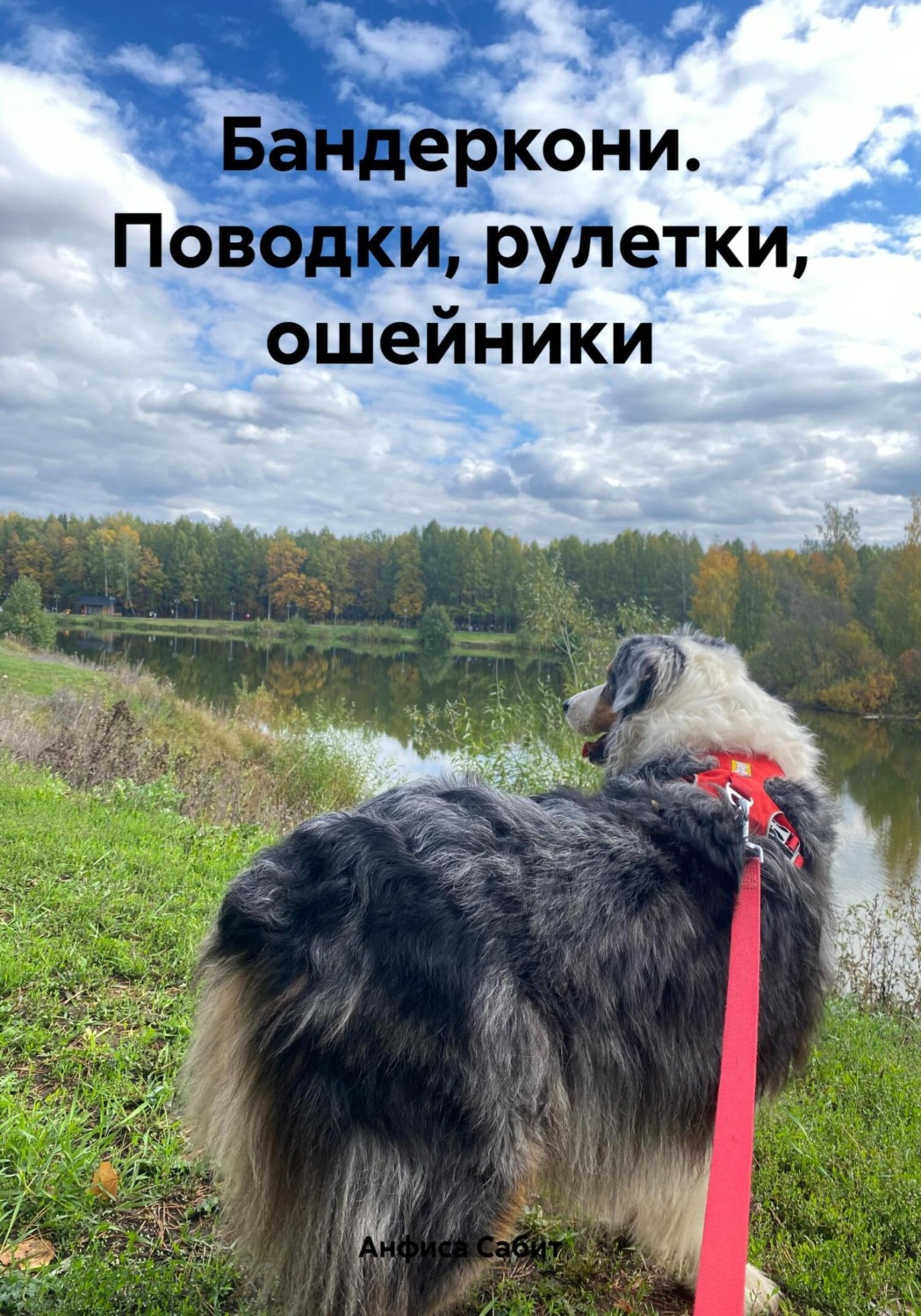 Обложка книги «Бандеркони. Поводки, рулетки, ошейники»