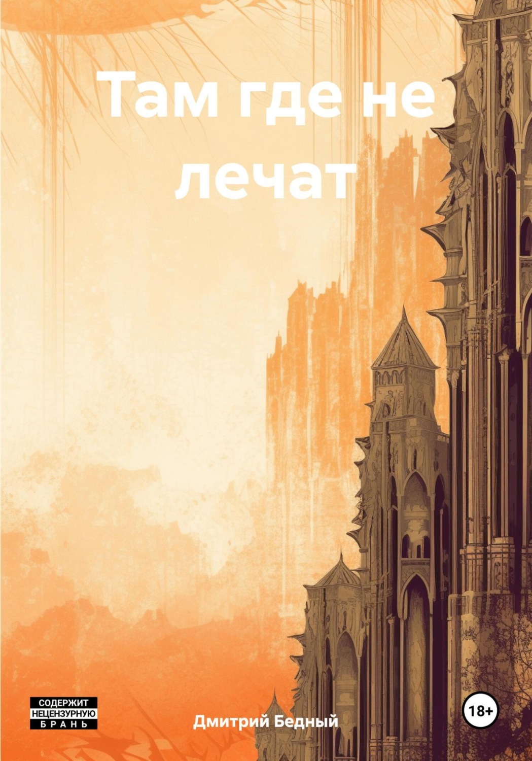 Обложка книги «Там где не лечат»