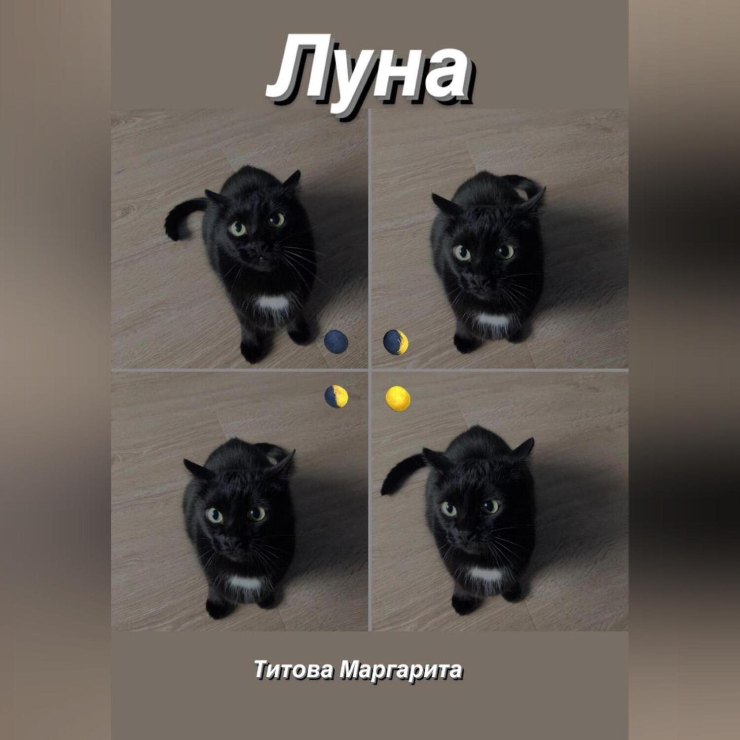 Обложка книги «Луна»