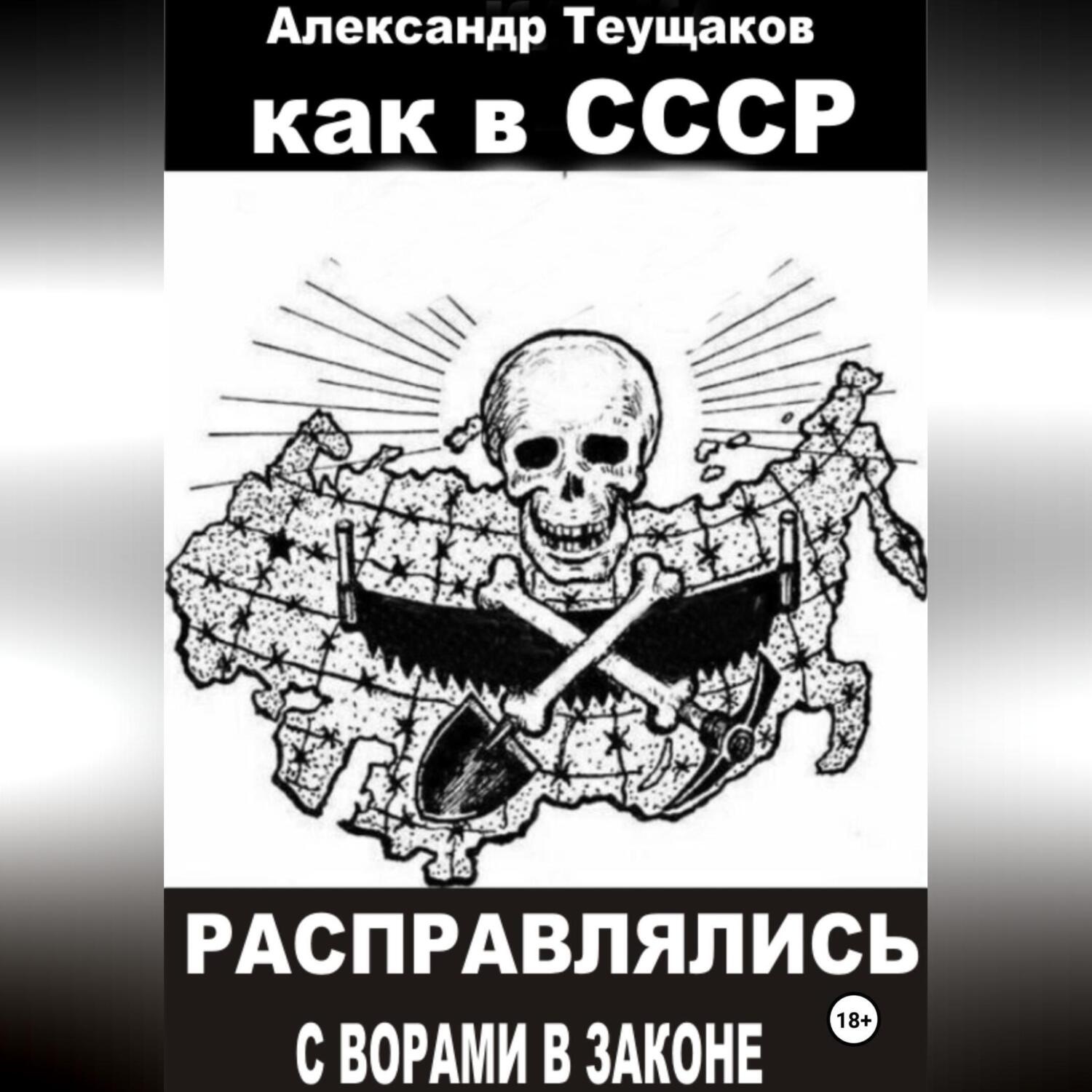 Обложка книги «Как в СССР расправлялись с ворами в законе»