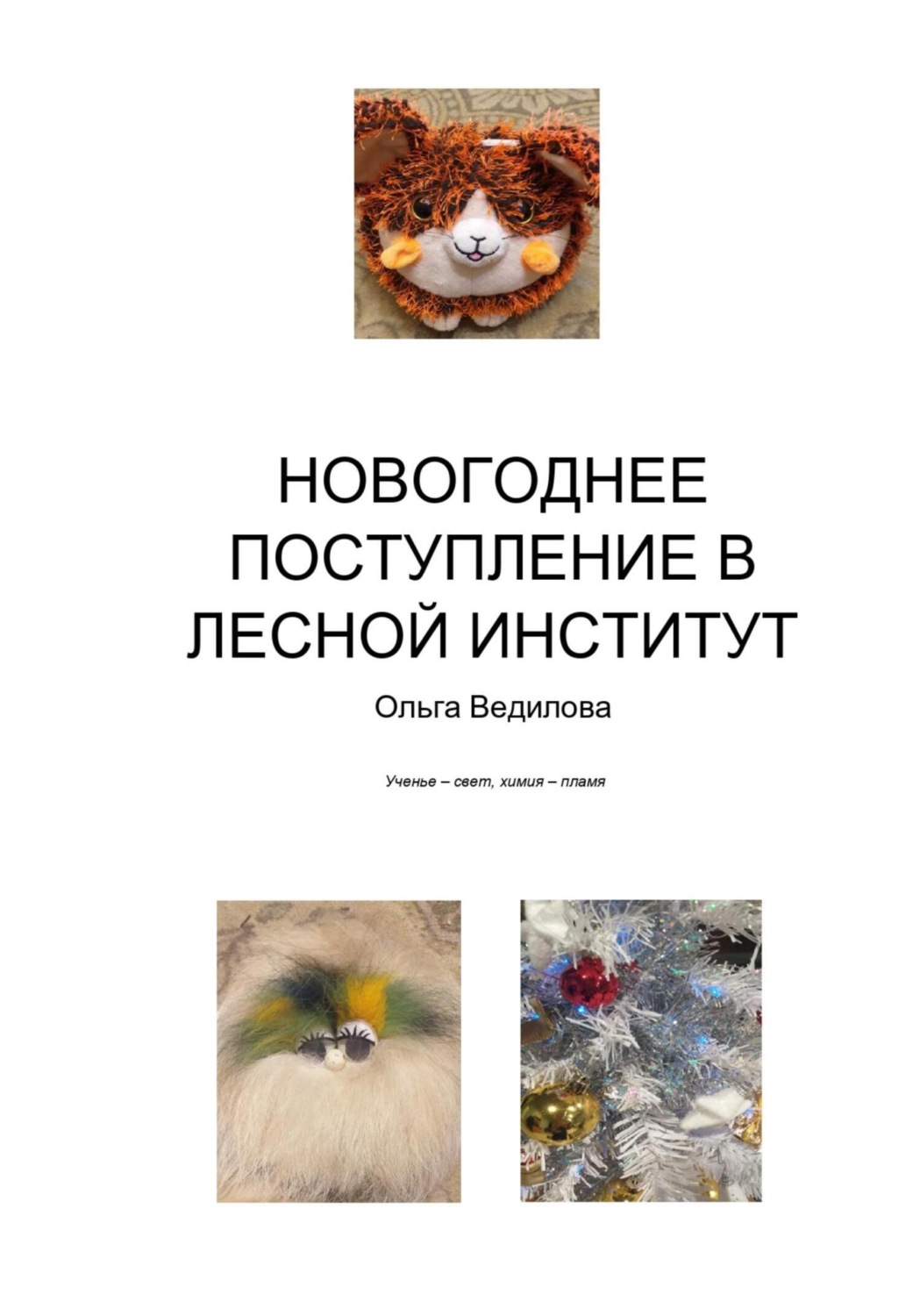Обложка книги «Новогоднее поступление в Лесной Институт»