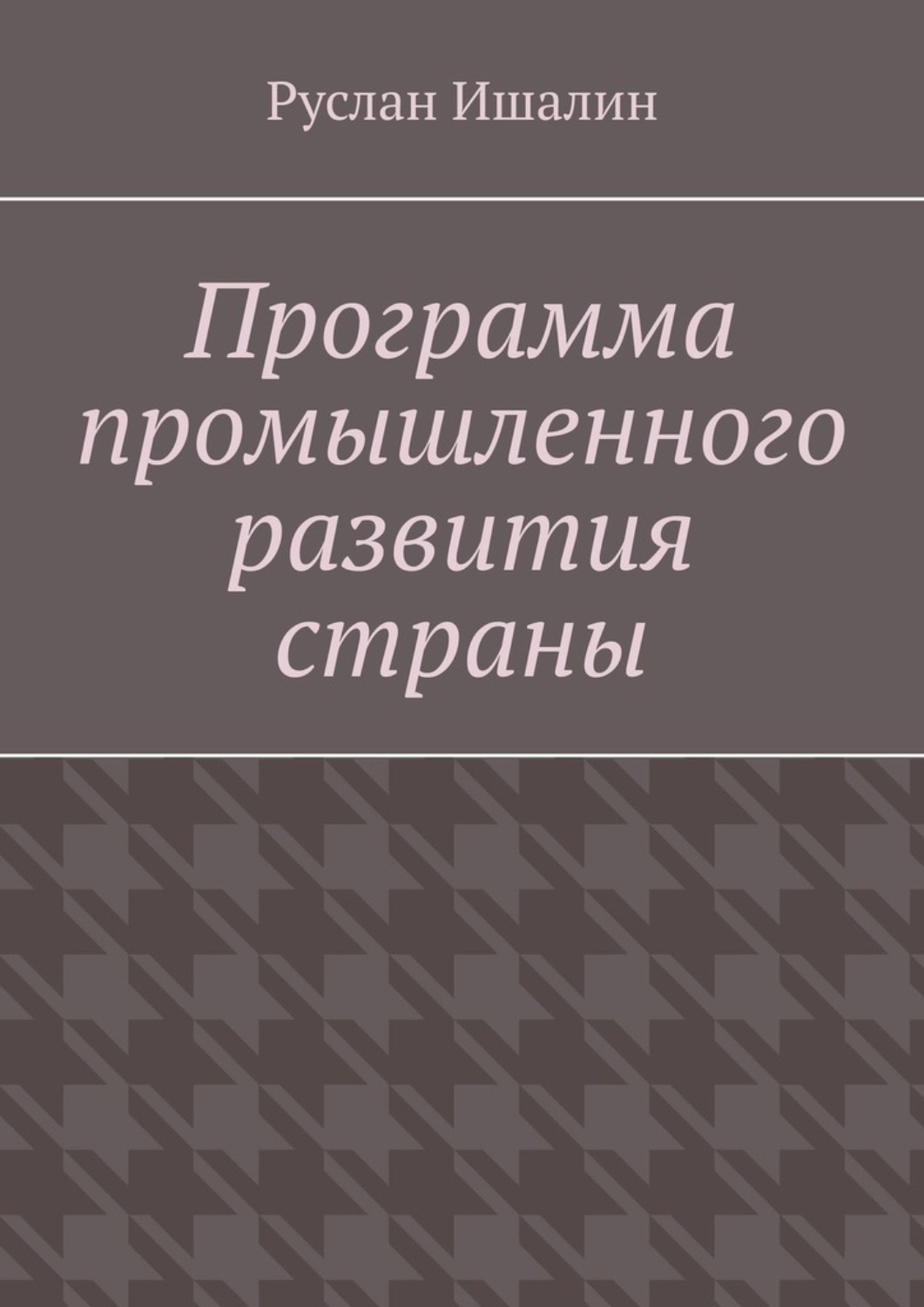 Обложка книги «Программа промышленного развития страны»