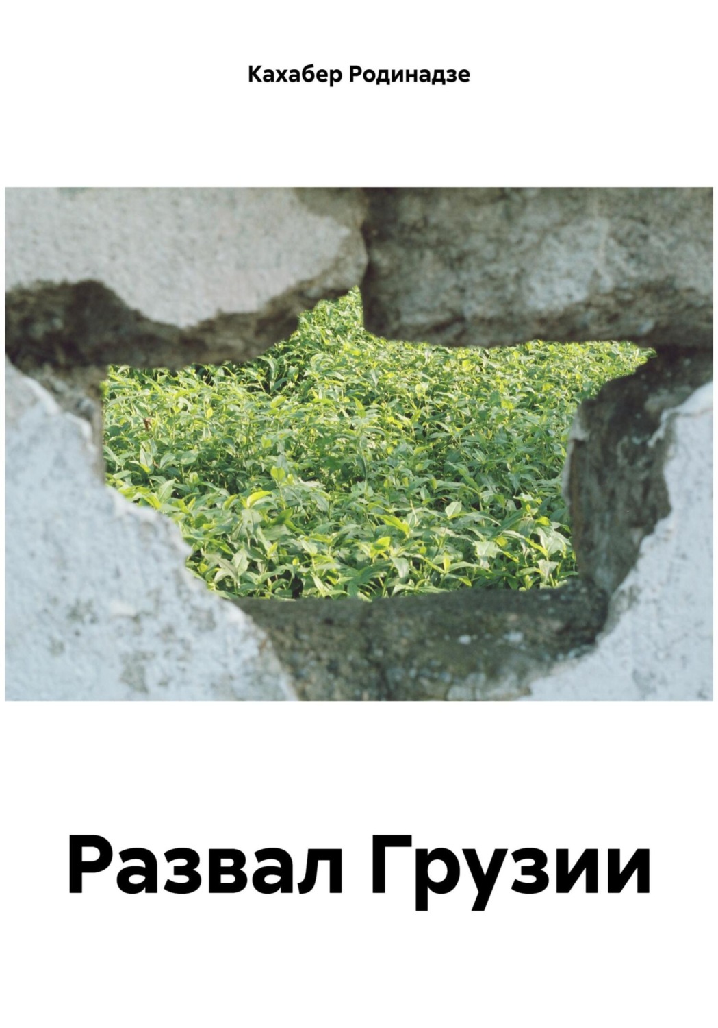 Обложка книги «Развал Грузии»