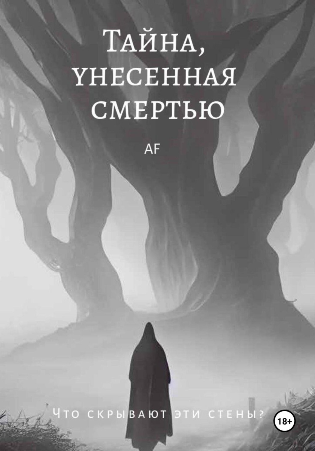 Обложка книги «Тайна, унесенная смертью»