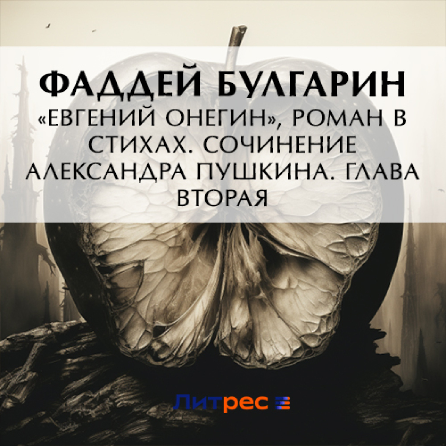 Обложка книги ««Евгений Онегин», роман в стихах. Сочинение Александра Пушкина. Глава вторая»